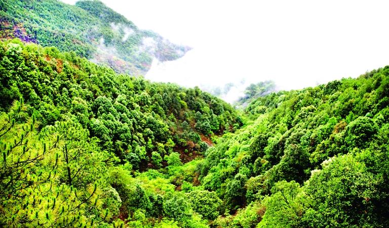 大黑山国家森林公园