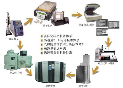 蛋白质组学新技术