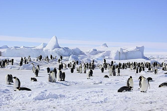 国家摄影南极经典图片