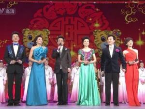 中国中央电视台春节联欢晚会